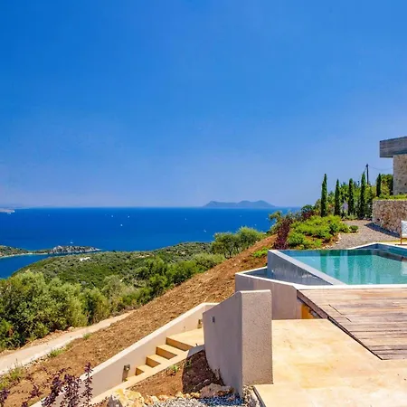 Sakura Bloom By سيفوتا